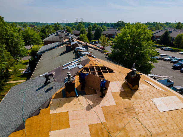 Trusted Metal Roofing service in Ashton, ID - Brentwood Metal Roofing